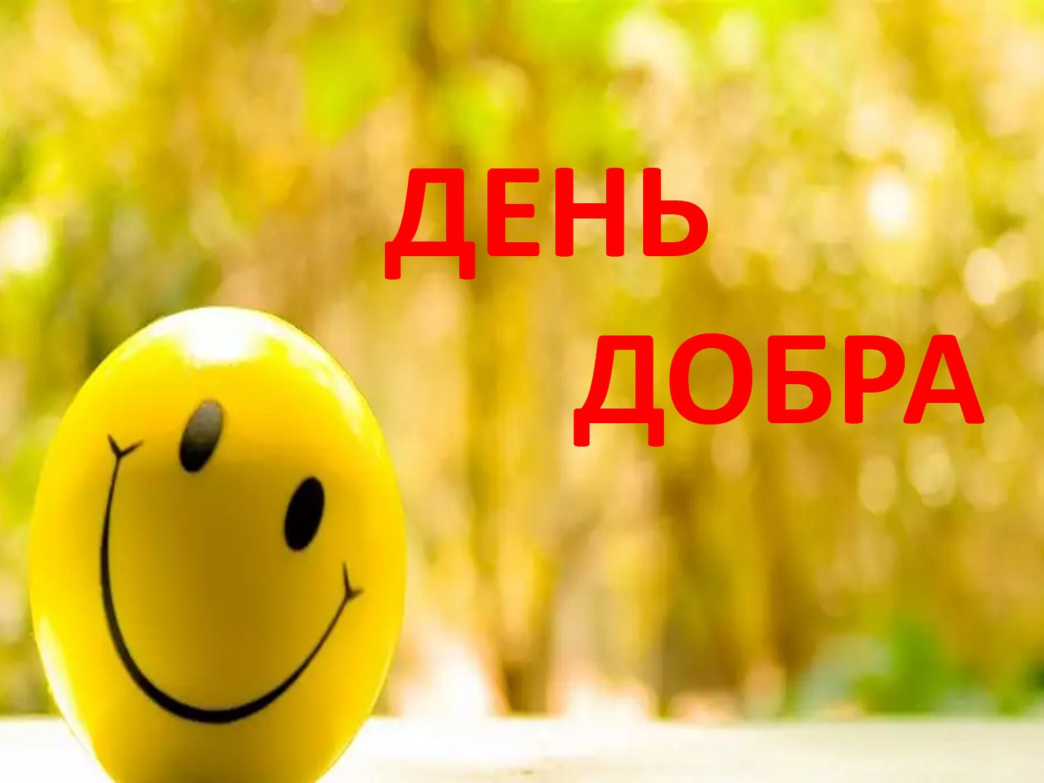 Зображення Благодійний ярмарок на підтримку Михайлика Порчука, учня 1 класу